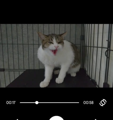 Screenshot_20231119-170258