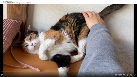 スクリーンショット 2025-05-22 205958