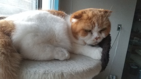 富子医局２月６日２