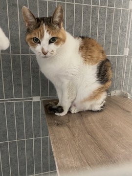 GtUBHdSaAAAALC-
