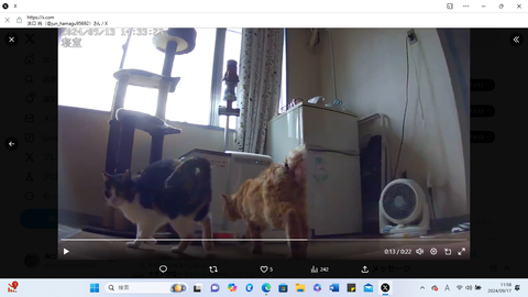 スクリーンショット 2024-09-17 115823