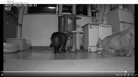 スクリーンショット 2024-09-17 120237