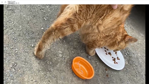 スクリーンショット 2024-09-17 113848