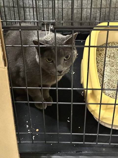 ケイスケカメラを向けるなの顔