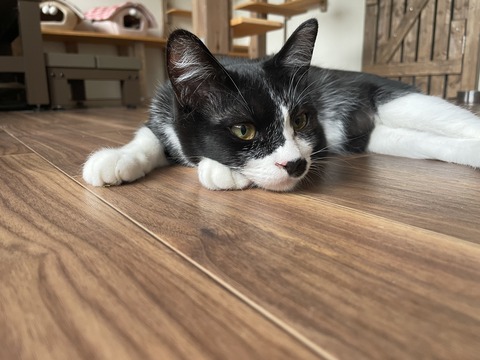 image1 - コピー (4)