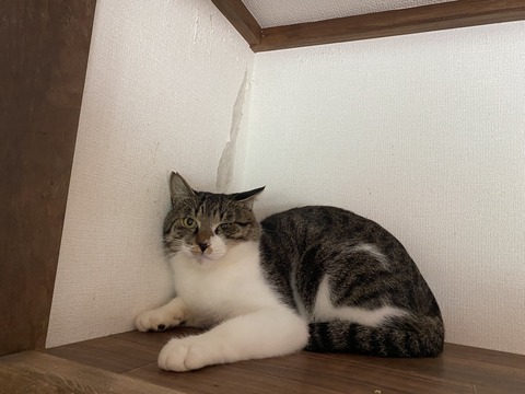 DAA71CCB-2FDE-4F49-9295-61832D8708C0