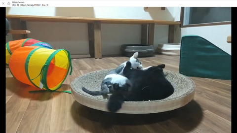 スクリーンショット 2024-08-21 004351