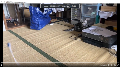 スクリーンショット 2024-06-09 022255