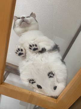 GvVZeuVWEAAhWna