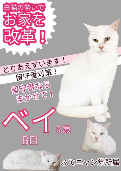 GTyN7RqbYAAzYsS