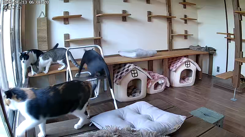 5542551239_1697144780846