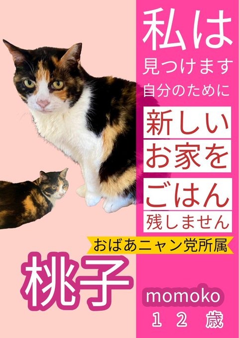 GT0gqeHbcAA4mjo