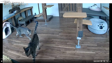 スクリーンショット 2025-06-15 151957