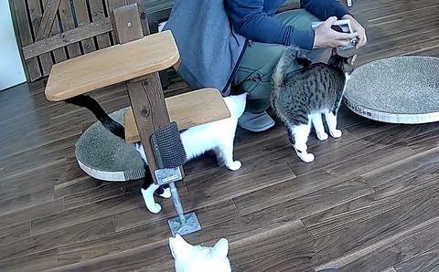 5542551239_1731926638319 (1)