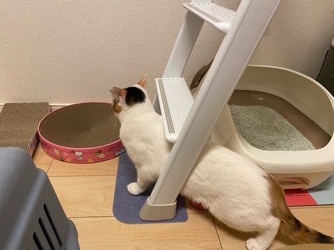 image2 - コピー (3)