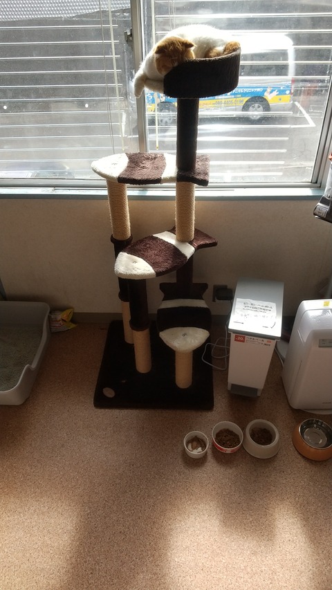 富子医局２月６日