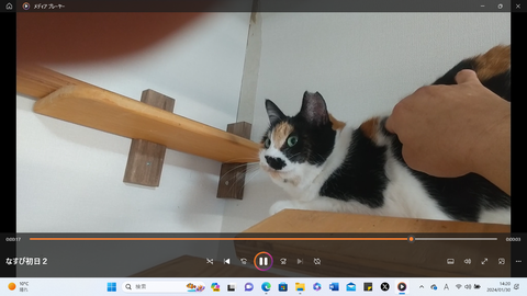 スクリーンショット 2024-01-30 142033