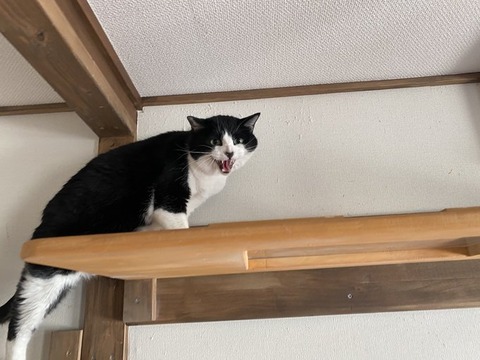 HGPjDzYasAAM5HU