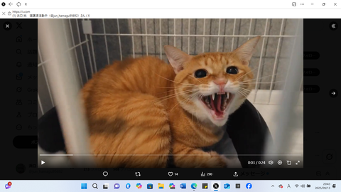 スクリーンショット 2025-09-13 204348