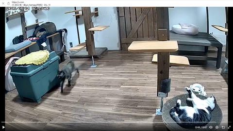 スクリーンショット 2025-04-13 134154