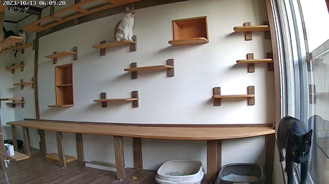 5542551239_1697144969067