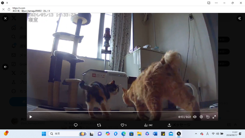 スクリーンショット 2024-09-17 115740