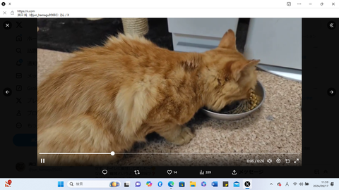 スクリーンショット 2024-09-17 115909