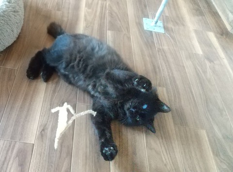 OBあいちゃん宣材縮小