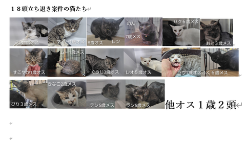 浅野家全頭写真まとめ