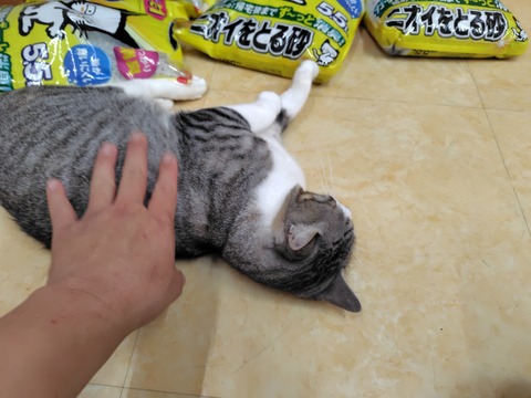 HOxTrnxa0AAURSu