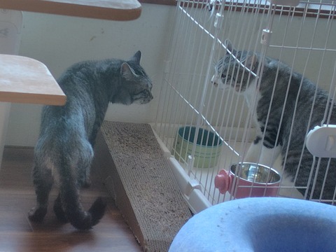 HN33A7gaIAAXyPH