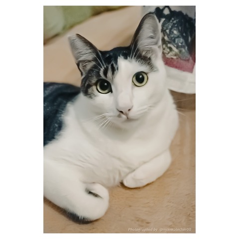 マサムネさま (2)