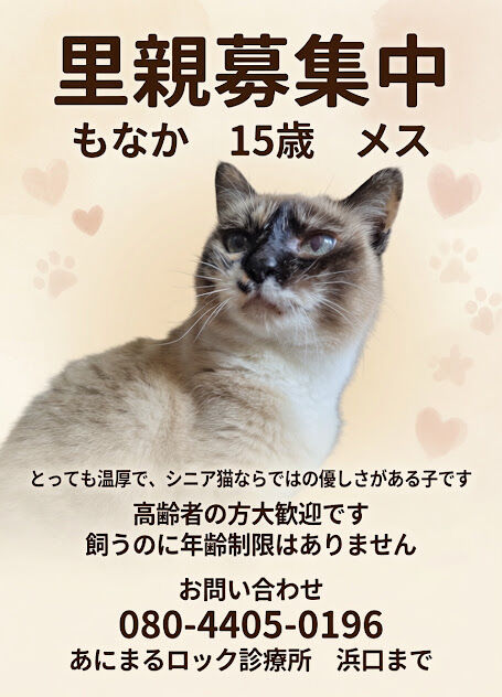 grok_image_x5pd844