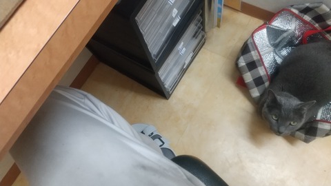 ケイスケ昼 (1)
