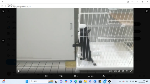 スクリーンショット 2024-08-04 004055