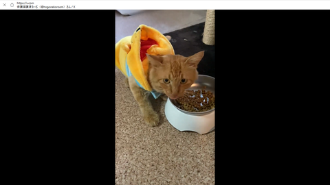 スクリーンショット 2024-09-17 120412