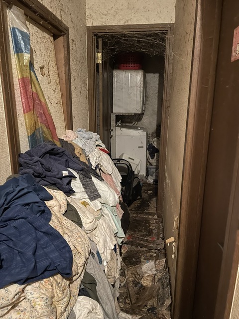 IMG_20230720_163336