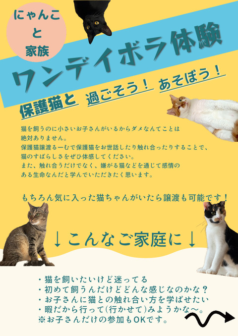 ワンデイボラ体験チラシ表