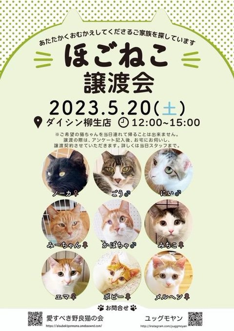 ゴンママ譲渡会