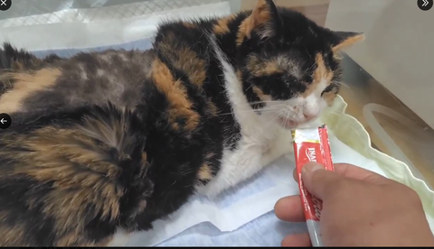 スクリーンショット 2025-09-25 141044