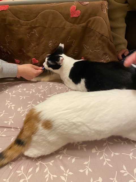 image0 - コピー (2)