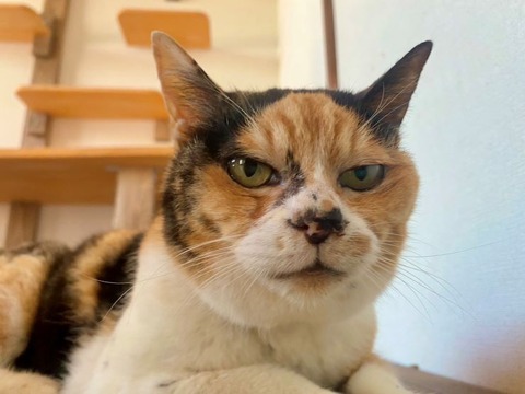 OBすず所長宣材縮小