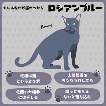 GSFOmvSaYAAWV2w