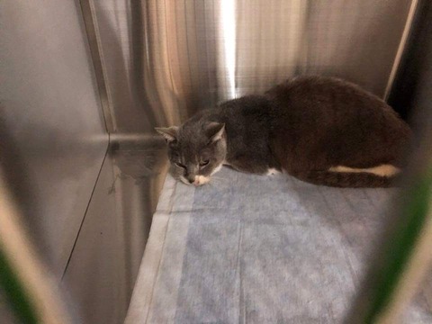 おじいちゃん初日２