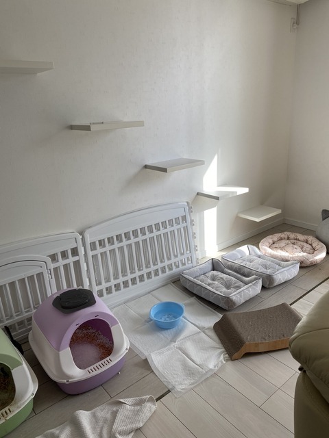 ジャンボガッツのお家