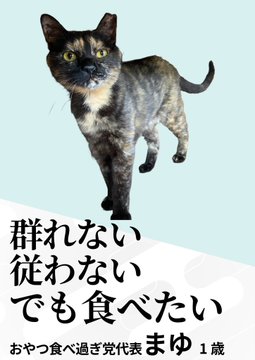 GvVNzB_XEAEZscN