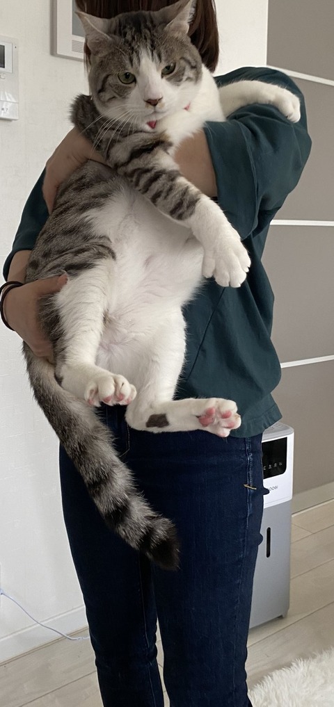 譲渡時のジャンボ１