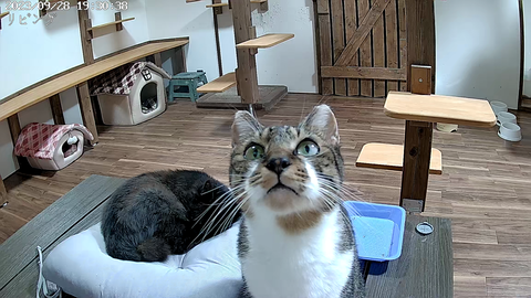 5542551239_1695970474752