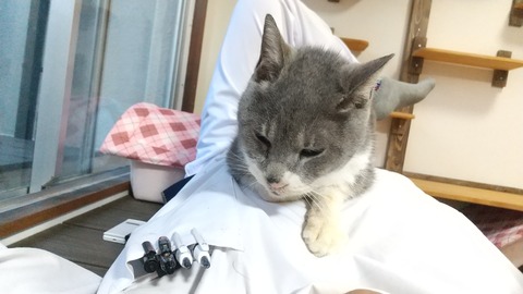 おじいちゃん２