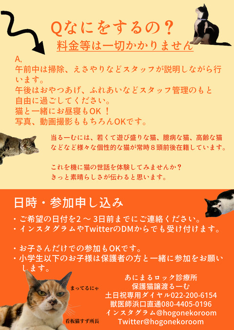 ワンデイボラ体験チラシ裏